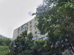 Lacul Tei x Teiul Doamnei, langa Facultatea de Constructii si Parcul Tei