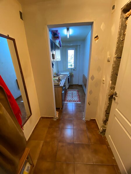 Lacul Tei x Teiul Doamnei, langa Facultatea de Constructii si Parcul Tei.