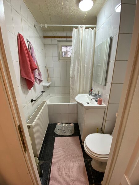 Lacul Tei x Teiul Doamnei, langa Facultatea de Constructii si Parcul Tei.