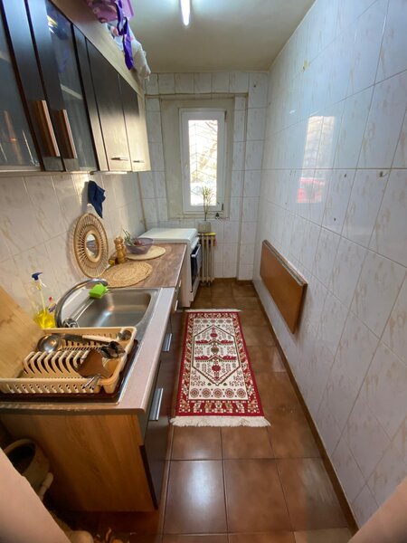 Lacul Tei x Teiul Doamnei, langa Facultatea de Constructii si Parcul Tei.