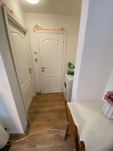 Lacul Tei x Teiul Doamnei, langa Facultatea de Constructii si Parcul Tei.