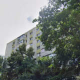 Lacul Tei x Teiul Doamnei, langa Facultatea de Constructii si Parcul Tei